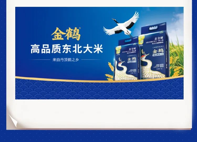 金鶴多點聯(lián)動齊發(fā)力，全力守“滬”米袋子(圖10)