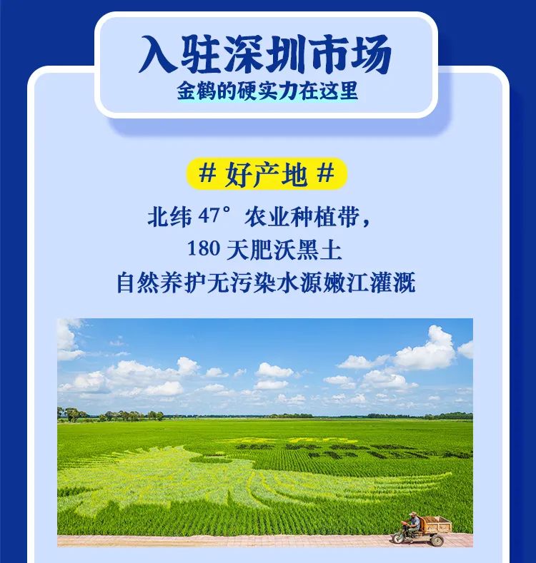 深圳，金鶴來了！(圖4)