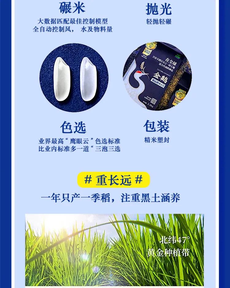 深圳，金鶴來了！(圖8)