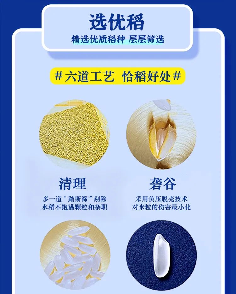 深圳，金鶴來了！(圖7)